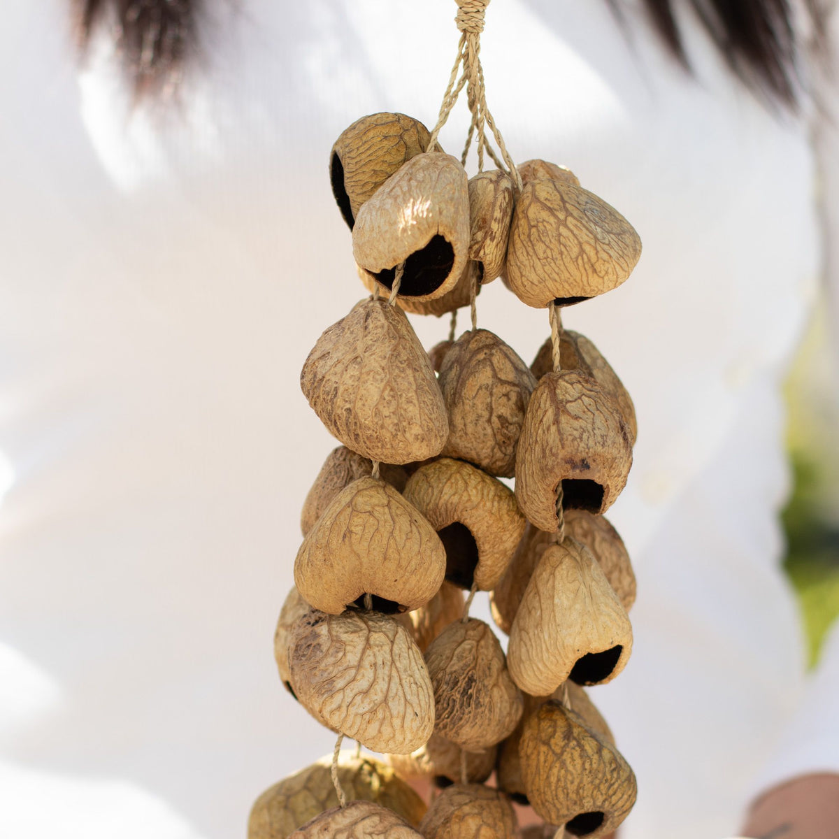 Sonajero Largo de Conchas Kenari (50 conchas)